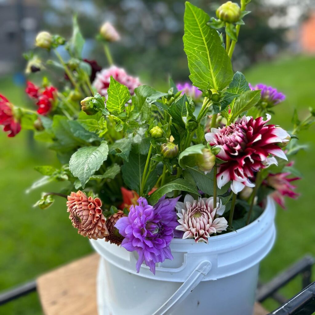 368033296_223711080630354_5433040214330453265_n