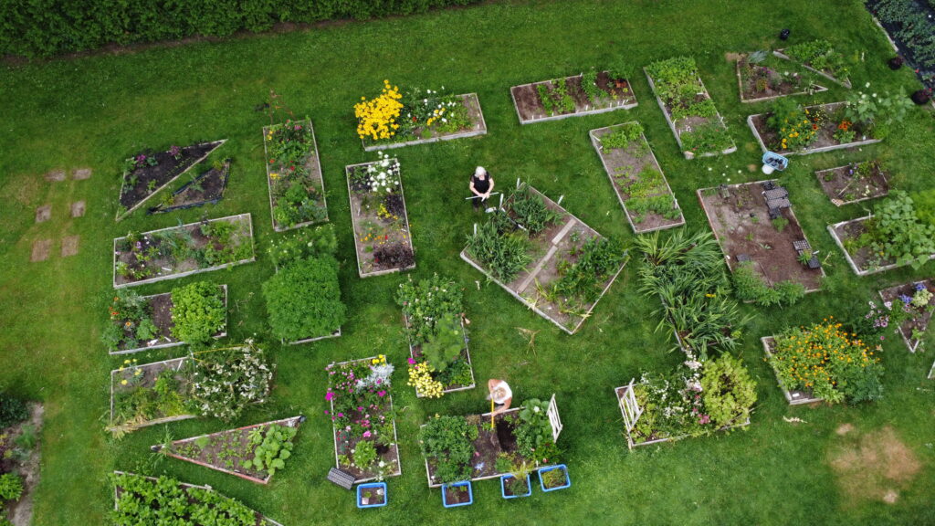 DCIM101MEDIADJI 0104.JPG