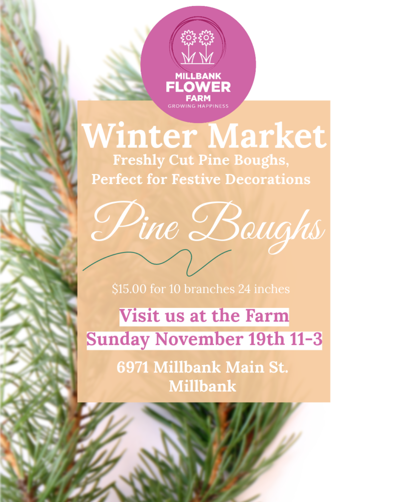 Winter Market Nov 19th